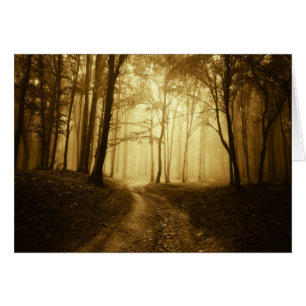 Road in a dark forest with fog