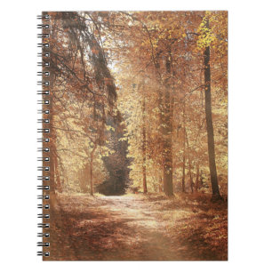 Road in the autumn forestroad,adventure,foliage,la notebook