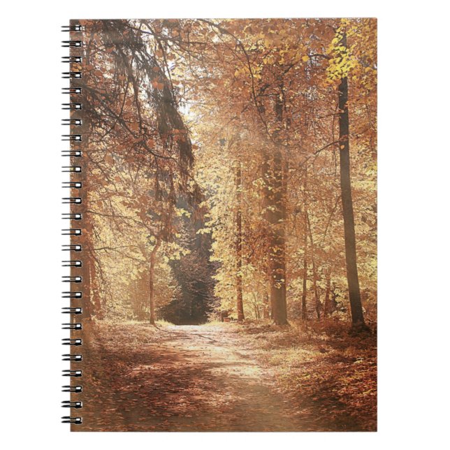 Road in the autumn forestroad,adventure,foliage,la notebook (Front)