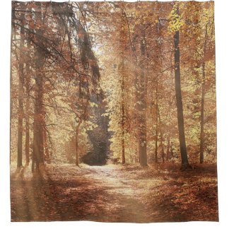Road in the autumn forestroad,adventure,foliage,la shower curtain