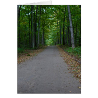 Road in the woods.