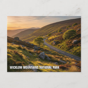 Road in Wicklow Mountains National Park Ireland Postcard