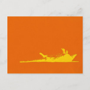 ROAD KILL ARMADILLO POSTCARD