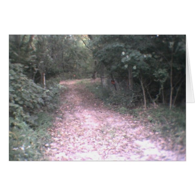 road of life (Front Horizontal)