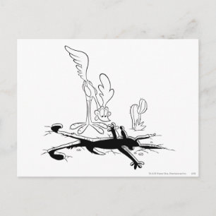 ROAD RUNNER™ and WILE E. COYOTE™ Shaped Hole Postcard