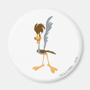 ROAD RUNNER™ Artistic Magnet