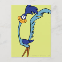 ROAD RUNNER™ Colour