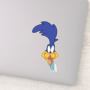ROAD RUNNER™ Face