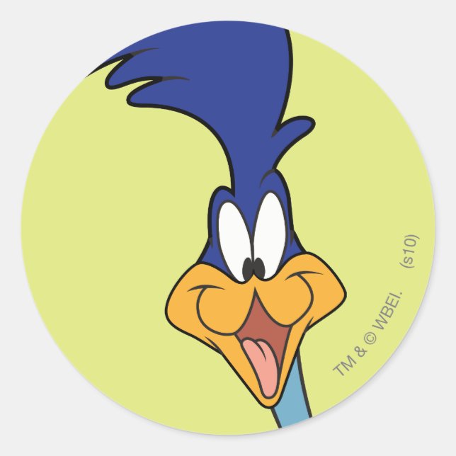 ROAD RUNNER™ Face Classic Round Sticker (Front)