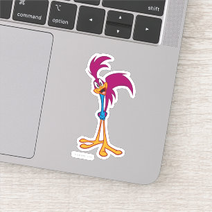 ROAD RUNNER™ Head Tilted