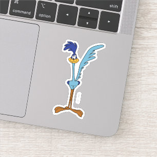ROAD RUNNER™ in Colour