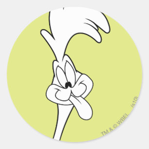 ROAD RUNNER™ Tongue Classic Round Sticker