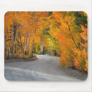 Road Through Autumn Aspens Mouse Pad