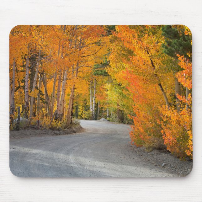 Road Through Autumn Aspens Mouse Pad (Front)