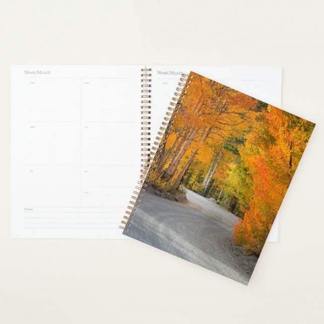 Road Through Autumn Aspens Planner (Display)