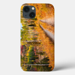 Road Through Autumn Colours iPhone 13 Case