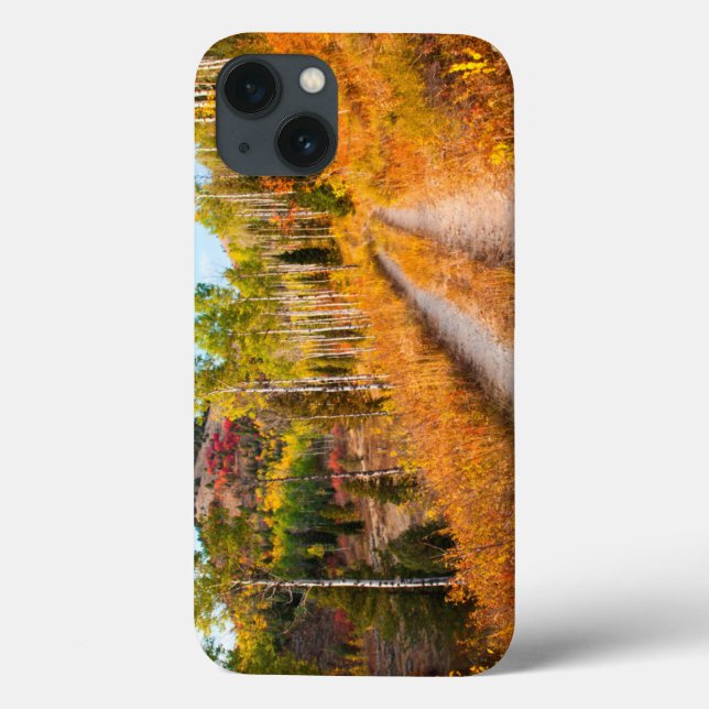 Road Through Autumn Colours Case-Mate iPhone Case (Back)
