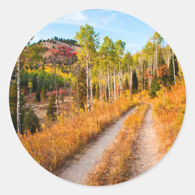 Road Through Autumn Colours Classic Round Sticker (Front)