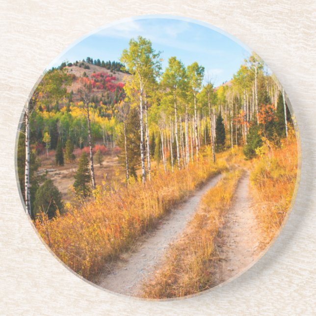 Road Through Autumn Colours Coaster (Front)