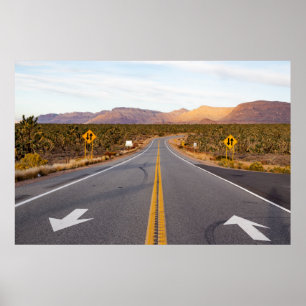 Road Through Joshua Tree National Park Poster