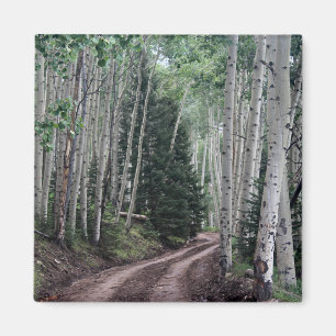 Road Through the Birch Magnet