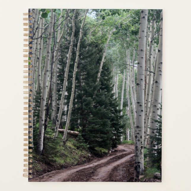Road Through the Birch Planner (Front)