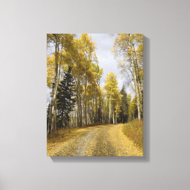 Road through the Fallen Aspen Leaves Canvas Print (Front)