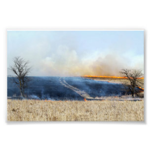 Road Through the Prairie Burn 24 x 16 Photo Print