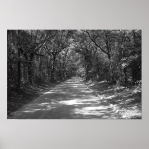 Road to No Where Poster