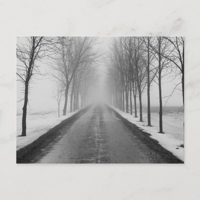 Road To Nowhere Postcard (Front)