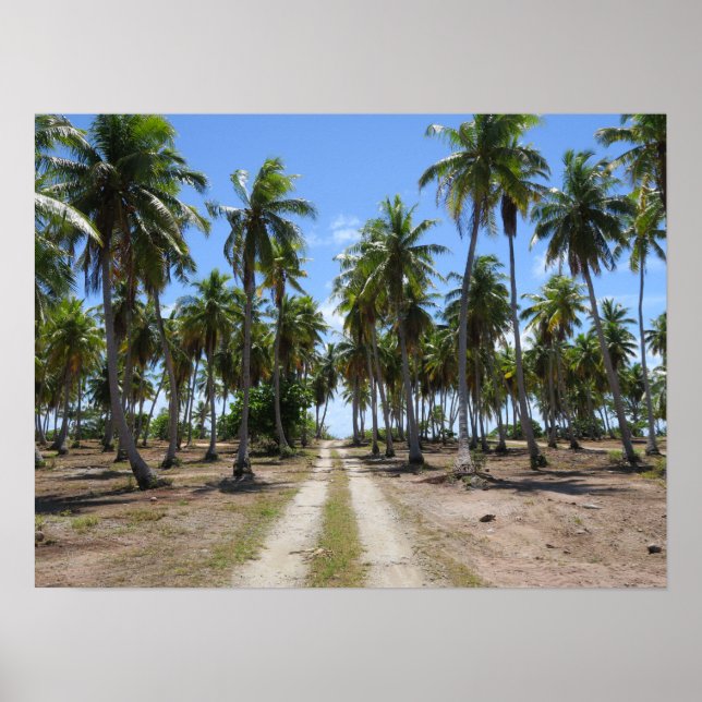 Road to paradise Rangiroa Poster (Front)