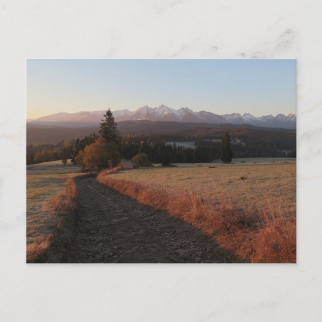 Road to Tatras Poster Postcard (Front)