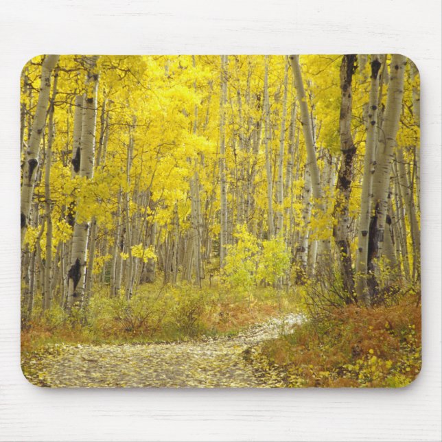 Road with autumn colours and aspens in Kebler 2 Mouse Pad (Front)
