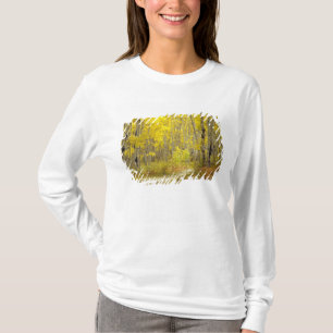 Road with autumn colours and aspens in Kebler 2 T-Shirt