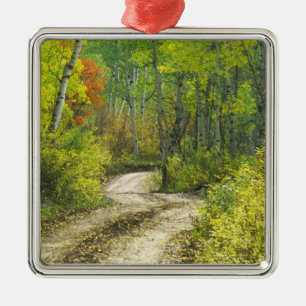 Road with autumn colours and aspens in Kebler Metal Tree Decoration