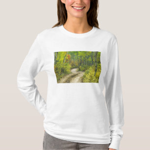 Road with autumn colours and aspens in Kebler T-Shirt