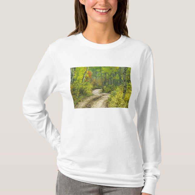 Road with autumn colours and aspens in Kebler T-Shirt (Front)