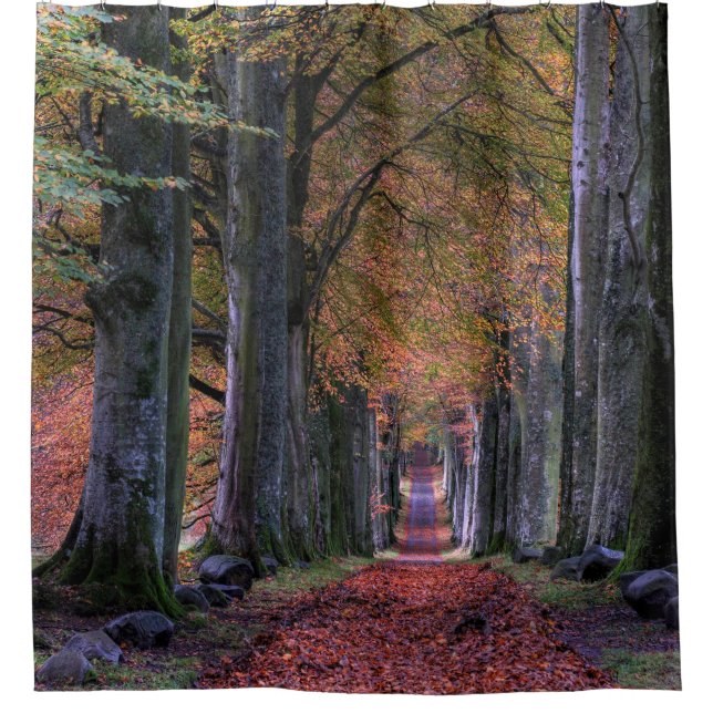ROAD WITH FALLING LEAVES IN BETWEEN OF TREES SHOWER CURTAIN (Front)