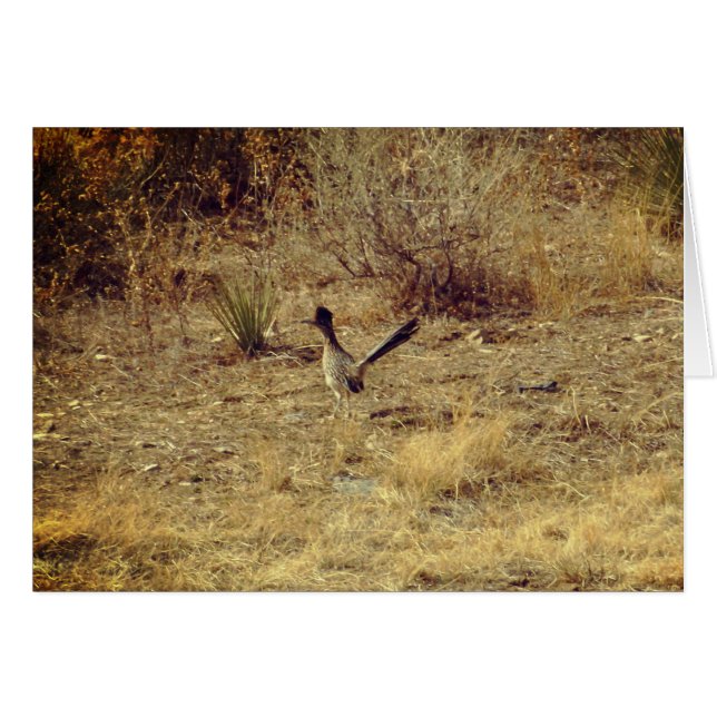 Roadrunner Blank Greeting Card + White Envelope (Front Horizontal)