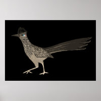 Roadrunner Coloured Pencil drawing on black