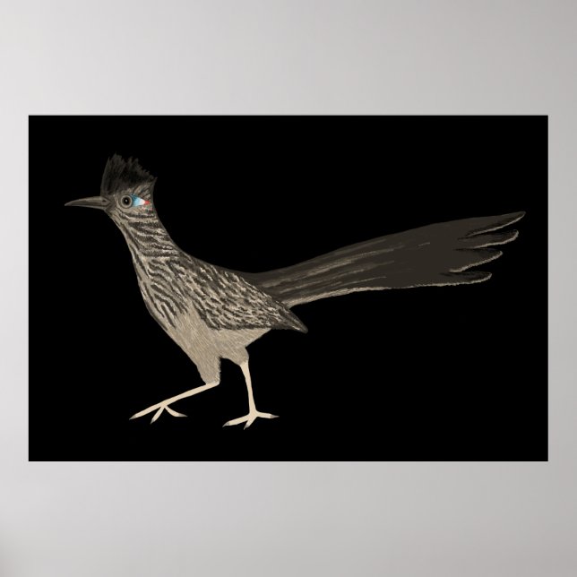 Roadrunner Coloured Pencil drawing on black Poster (Front)