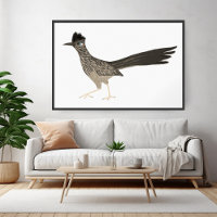 Roadrunner Coloured Pencil drawing on white