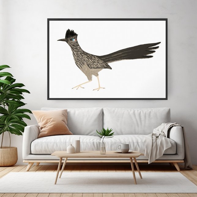 Roadrunner Coloured Pencil drawing on white Poster (Roadrunner Colored Pencil drawing on white Poster
)