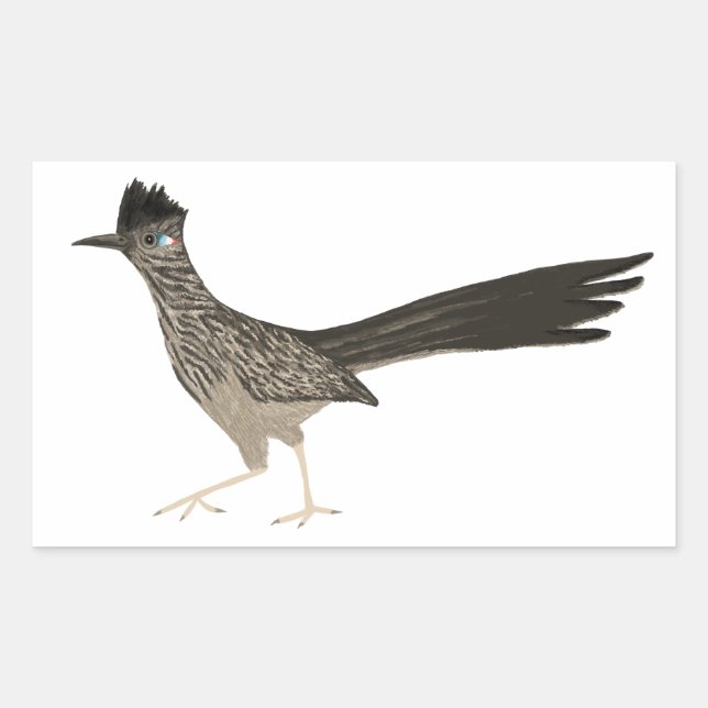 Roadrunner coloured pencil drawing rectangular sticker (Front)