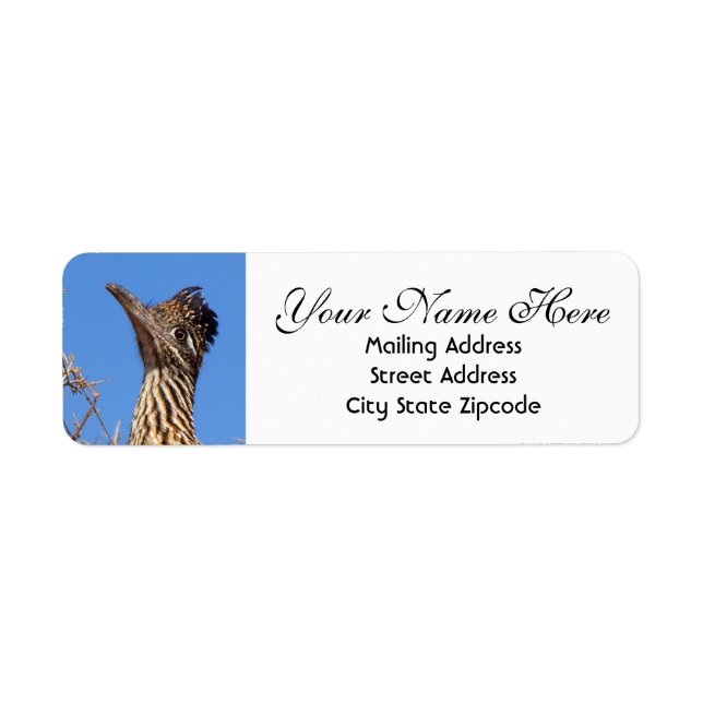 Roadrunner Head Return Address (Front)