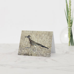 Roadrunner Photograph Note Card