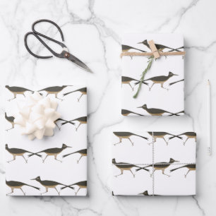 Roadrunner Wrapping Paper Flat Sheet Set of 3