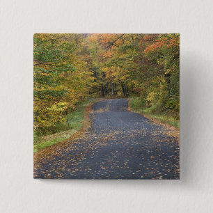 Roadside fall foliage, Southern Vermont, USA 15 Cm Square Badge