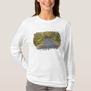 Roadside fall foliage, Southern Vermont, USA T-Shirt