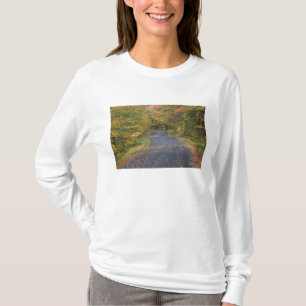 Roadside fall foliage, Southern Vermont, USA T-Shirt